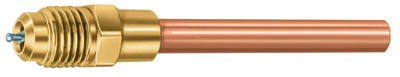 Access Valve 1/4